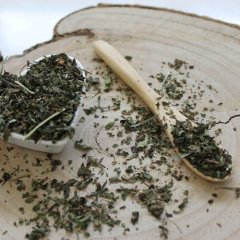 Medovka lekárska - melissae herba Medovka lekárska - melissae herba