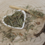 Pinus sylvestris - Folium pini silvestris