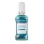 Mouthwash Mint NORDICS 300 ml