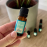 Esenciální olej Tea Tree Venoc 10ml