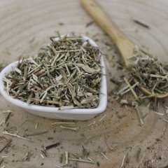 Kocourník obecný-nať nařezaná-Nepeta cataria
