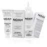 Krémová farba na vlasy tmavohnedá- COLOR KIT 3.0 Dark Brown - Noah 140 ml