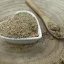 Púpava lekárska - koreň mletý - Taraxacum officinale - Radix taraxaci plv.