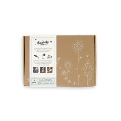 Bomby nasienne - mniejszy zestaw upominkowy Blossombs 7 szt