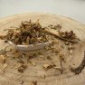 Agát biely - kvet celý - Robinia pseudoacacia - Flos robiniae