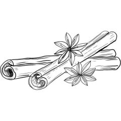 Ceylon cinnamon oil (leaves) 100% Alteya Organics 10 ml