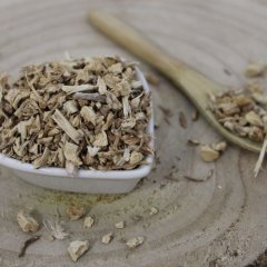 Listnatec pichlavý -koreň rezany - Ruscus aculeatus