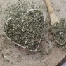 Bederník obecný- kořen nařezaný-Pimpinella saxifraga