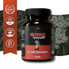 Polyporus Hrotlife 90 kapslí