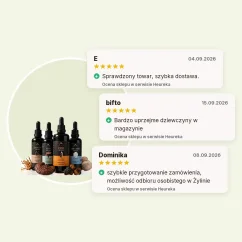 Starter pack nalewek - Chaga + Reishi + Cordyceps + Lion's mane nalewka 100ml Hrotlife