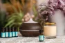Esenciální olej Tea Tree Venoc 10ml