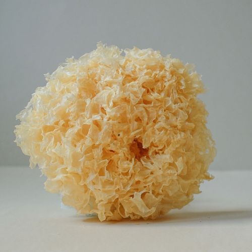 Tremella s vitamínem C Hrotlife 90 kapslí