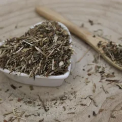 Zádušník brečtanovitý - vňať narezaná - Glechoma hederacea - Herba hederae terrestris Zádušník brečtanovitý - vňať narezaná - Glechoma hederacea - Herba hederae terrestris