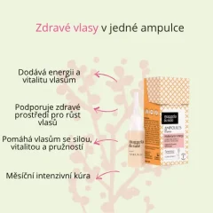Multivitamínová energetická ampule pro zdravé vlasy Nuggela & Sulé 10ml