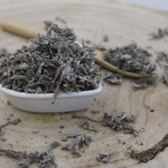 Šalvej lékařská - list celý - Salvia officinalis - Folium salviae