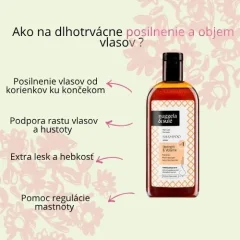 Šampon pro posílení a objem vlasů No1 Nuggela & Sulé 250ml