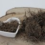 Kozłek lekarski - Valeriana officinalis