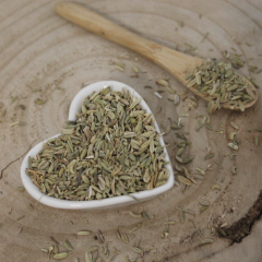 Süßer Fenchel - ganze Frucht - Foeniculum vulgare - Fructus foeniculi Emerosa