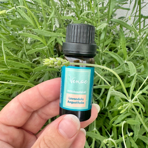 Olejek eteryczny Lawenda Venoc 10ml