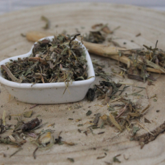 Púpava lekárska - list narezaný - Taraxacum officinale - Folium taraxaci Púpava lekárska - list narezaný - Taraxacum officinale - Folium taraxaci