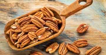 Orzechy pekan: naturalna pomoc w walce z cholesterolem i zdrowym sercem