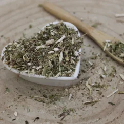Zlatobyľ obyčajná - vňať narezaná - Solidago virgaurea