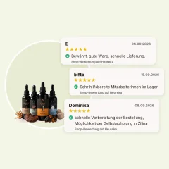 Starter pack Tinkturen - Chaga + Reishi + Cordyceps + Lion's mane Tinktur 100ml Hrotlife