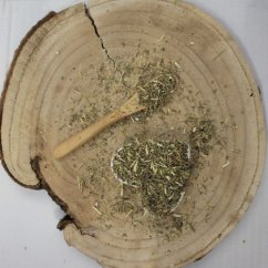 Ścięty piołun - Artemisia absinthium Ścięty piołun - Artemisia absinthium