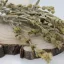 Mursalský čaj - Sideritis scardica
