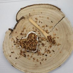 Čakanka koreň narezaný - Cichorium intybus