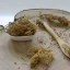 Przywrotnik pospolity - ziele cięte - Alchemilla vulgaris - Herba alchemillae
