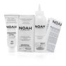 Krémová barva na vlasy hnědá Noah 140ml