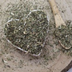 Biedrzeniec mniejszy - susz pociętego korzenia - Pimpinella saxifraga