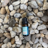 Ätherisches Zitronengrasöl Venoc 10 ml