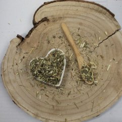 Pelyněk černobylská nať nařezaná - Artemisia vulgaris herba cs.