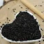 Echter Schwarzkümmel - ganze Samen - Nigella sativa - Semen nigellae Emerosa