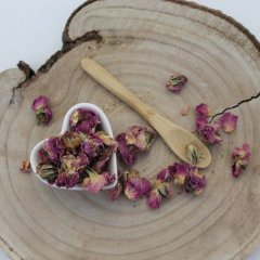 Růže Damascena květ - Rosa damascena
