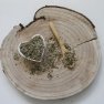 Šalvia lekárska - salviae officinalis folium