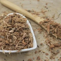 Sommer-Eiche, Eichenrinde - geschnittene Rinde - Quercus robur - Cortex quercus Emerosa