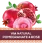Pomegranate & Rose