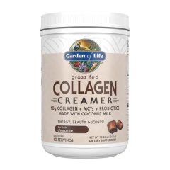 Kollagen-Creamer-Pulver Schokolade Garden of Life 342g