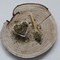 Macierzanka piaskowa - Thymus serpyllum