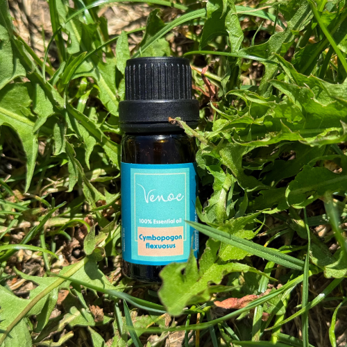 Ätherisches Zitronengrasöl Venoc 10 ml