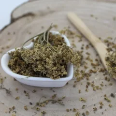 Baza čierna kvet - Sambucus nigra L.
