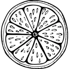 Grapefruitöl 100% Alteya Organics 10 ml
