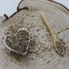 Lebiodka pospolita - Origanum vulgare