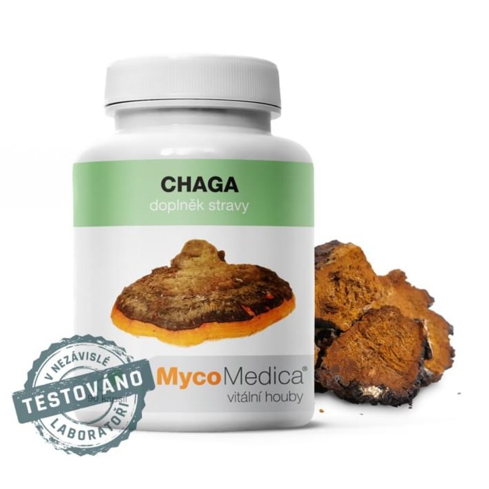 E-shop Chaga v optimálnej koncentrácii MycoMedica 90 rastlinných kapsúl