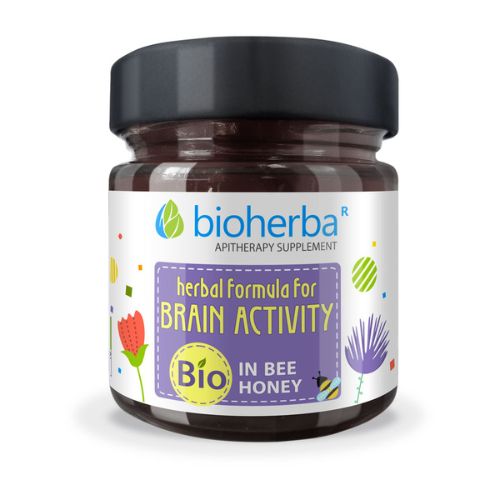 Levně Včelí med - bylinková podpora mozkové činnosti Bioherba 280g
