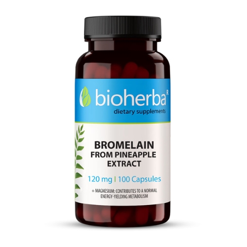 Bromelain z extraktu z ananásu + magnézium Bioherba 100cps.