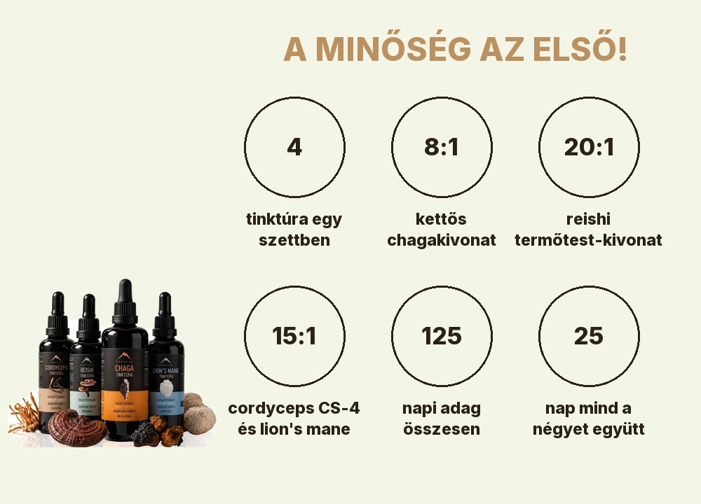 Hrotlife Starter pack tinktúrák: 4 tinktúra, chaga 8:1, reishi 20:1, cordyceps CS-4 és lion's mane 15:1, 125 napi adag, 25 nap